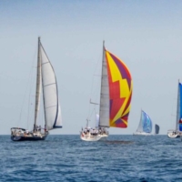 BRINDISI : VIABILITA' REGATA
