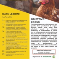 GAL TDM : CORSI DI FORMAZIONE