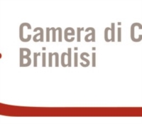 CONDUCENTI ED AGENTI IMMOBILIARI:ESAMI ABILITANTI