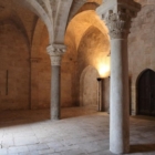 FORUM INTERNAZIONALE