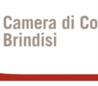 CAMERA DI COMMERCIO : APPROVATO BILANCIO