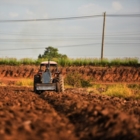 1,2 MILIARDI DI EURO PER RAFFORZARE FILIERE E DISTRETTI AGROALIMENTARI