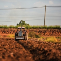 1,2 MILIARDI DI EURO PER RAFFORZARE FILIERE E DISTRETTI AGROALIMENTARI