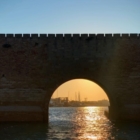 CASTELLO ALFONSINO : STATISTICHE VISITATORI