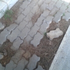 Comunicato ADOC degrado Parco Maniglio