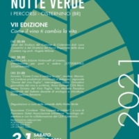 Terza serata del Festival Notte Verde