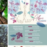 ALBERI IN CAMMINO