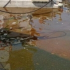 SVERSAMENTO DI GASOLIO NEL PORTO DI BRINDISI