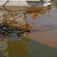 SVERSAMENTO DI GASOLIO NEL PORTO DI BRINDISI
