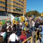 CINGOLANI MINISTRO DELLA FINZIONE ECOLOGICA