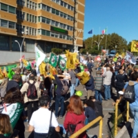 CINGOLANI MINISTRO DELLA FINZIONE ECOLOGICA