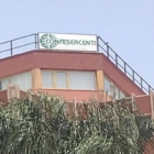 Confesercenti  Brindisi è vicina ai colleghi catanesi