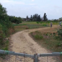 BRINDISI : ORTI DIDATTICI