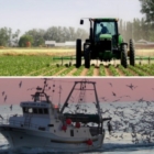 AGRICOLTURA, L'ABBATE (M5S): LEGGE DI BILANCIO RICCA DI OPPORTUNITÀ PER IL COMPARTO PRIMARIO