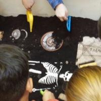 Al via le attivit� del Gruppo Archeo Brindisi