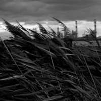 Venerd� 13 Dicembre: S� Democrazia : danni all'ambiente e danni alla salute