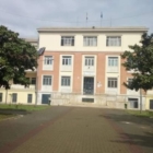 DOMENICA 28 NOVEMBRE 2021  SECONDO OPEN DAY