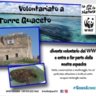 VOLONTARIATO A TORRE GUACETO