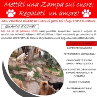 UNA ZAMPA SUL CUORE