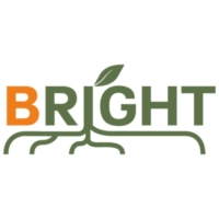 IL PROGETTO BRIGHT IN ITALIA