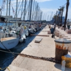 REGATA INTERNAZIONALE : APERTE LE ISCRIZIONI