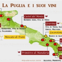 PUGLIA : VINI E  CERTIFICAZIONE SOSTENIBILITA'