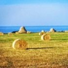 "Dall'agricoltura al mare : per un nuovo sviluppo turistico sostenibile"