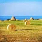 "Dall'agricoltura al mare"