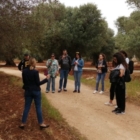 CAROVIGNO: BANDIERA BLU CILIEGINA SULLA TORTA