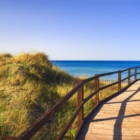 TUTELARE LA BIODIVERSITA’ DEL PARCO DELLE DUNE COSTIERE