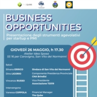 �BUSINESS OPPORTUNITIES 