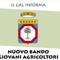 GAL TDM : PSR : NUOVO BANDO GIOVANI AGRICOLTORI