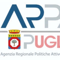 REPORT SETTIMANALE OFFERTE DI LAVORO  BRINDISI 