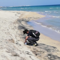 OSTUNI : ECCO LE SENTINELLE DELLA BIODIVERSIT�