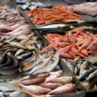 PESCA, L'ABBATE (M5S): VIA LIBERA AI 20 MILIONI DI EURO PER IL COMPARTO
