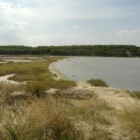Il Comune di Brindisi fondatore della Green Community Ionico-Adriatica
