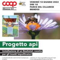 BRINDISI : INAUGURAZIONE BEEHOTEL