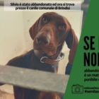 BRINDISI : CAMPAGNA : "SE MI LASCI NON VALE"