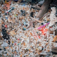 SPIAGGE : GREENPEACE ITALIA PRESENTA UN ESPOSTO IN PROCURA