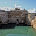 #Dalforteincittà: continuano gli appuntamenti estivi 