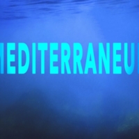 24 E 25 SETTEMBRE: AD ALTAMURA ​LE GIORNATE EUROPEE DEL PATRIMONIO