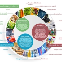 BARI : FORUM BIOTECNOLOGIE INDUSTRIALI