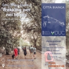 OSTUNI : CUORI VERDI IN CITTA'