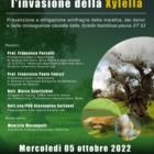 Convivere con la Xylella si può, arginandola: convegno domani a Conversano