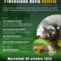 Convivere con la Xylella si pu�, arginandola: convegno domani a Conversano
