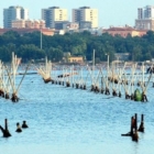 TARANTO : PESCA E MITICOLTURA : RICHIESTA DI UN TAVOLO PERMANENTE