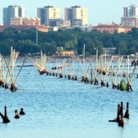 TARANTO : PESCA E MITICOLTURA : RICHIESTA DI UN TAVOLO PERMANENTE