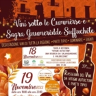 Tornano i vini da vitigni autoctoni a Locorotondo. 