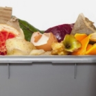 PUGLIA : RACCOLTA ORGANICO 78%
