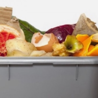 PUGLIA : RACCOLTA ORGANICO 78%